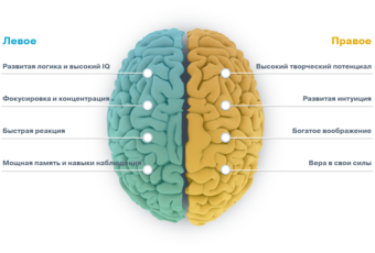 mind